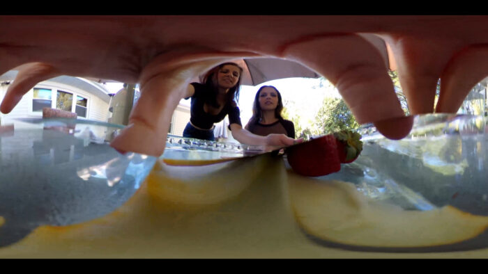 New Appetizer on the Menu VR360 - Image 13