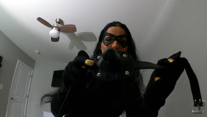Burglar’s Fantasy 4K - Image 22