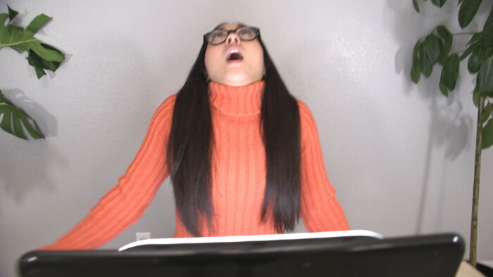 Remote Controlled Velma 4K - Image 7