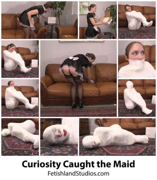 Curiosity Caught the Maid 4K
