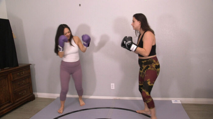 Dizzy Boxing Showdown 4K - Image 9