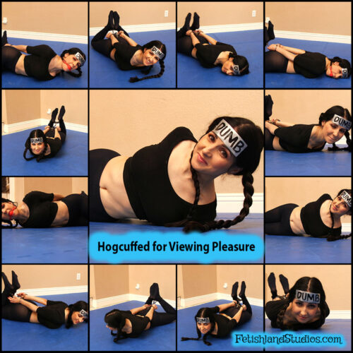Hogcuffed for Viewing Pleasure