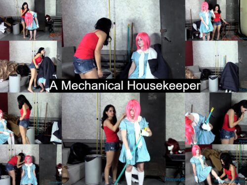 A Mechanical Housekeeper 4K