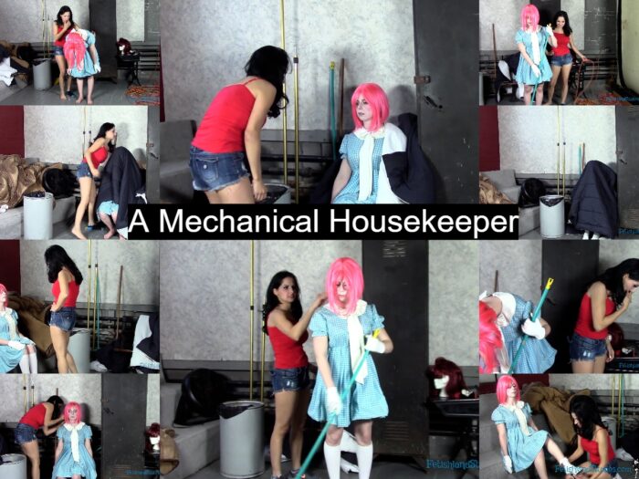 A Mechanical Housekeeper 4K