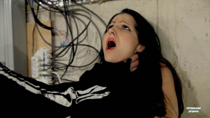 Silver Minx: The Sandman 4K - Image 11