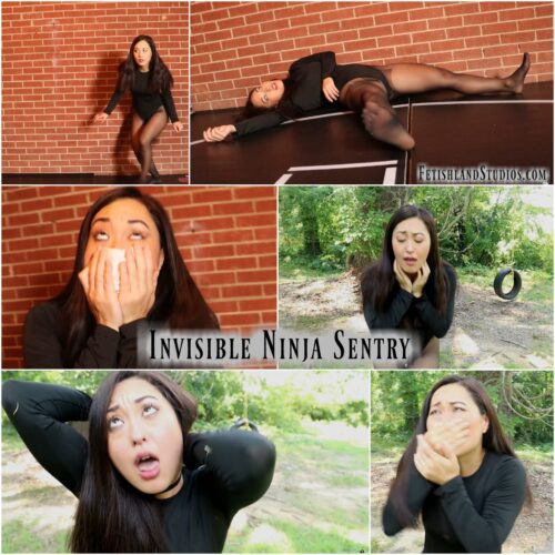 Invisible Ninja Sentry 4K