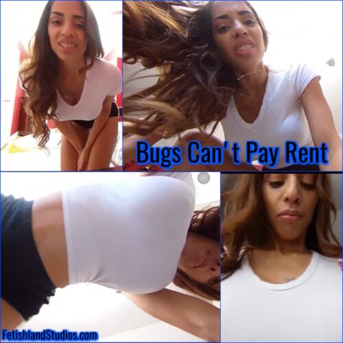 Bugs Can't Pay Rent VR 360