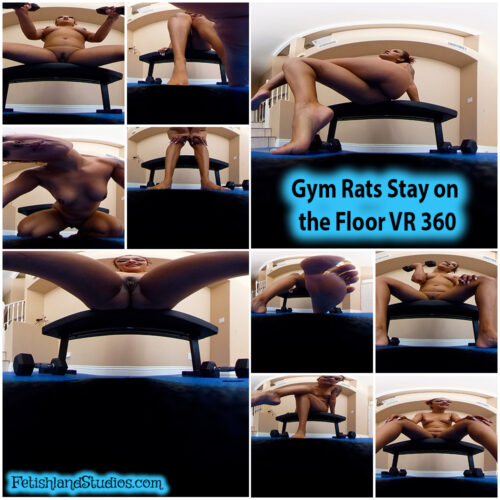 Gym Rats Stay on the Floor VR 360