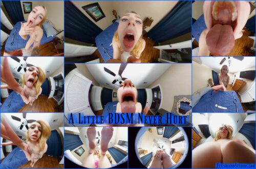 A Little BDSM Never Hurt VR 360