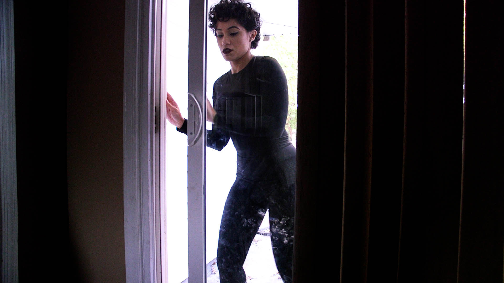 Cat Burglar on a Mission 4K - Image 13