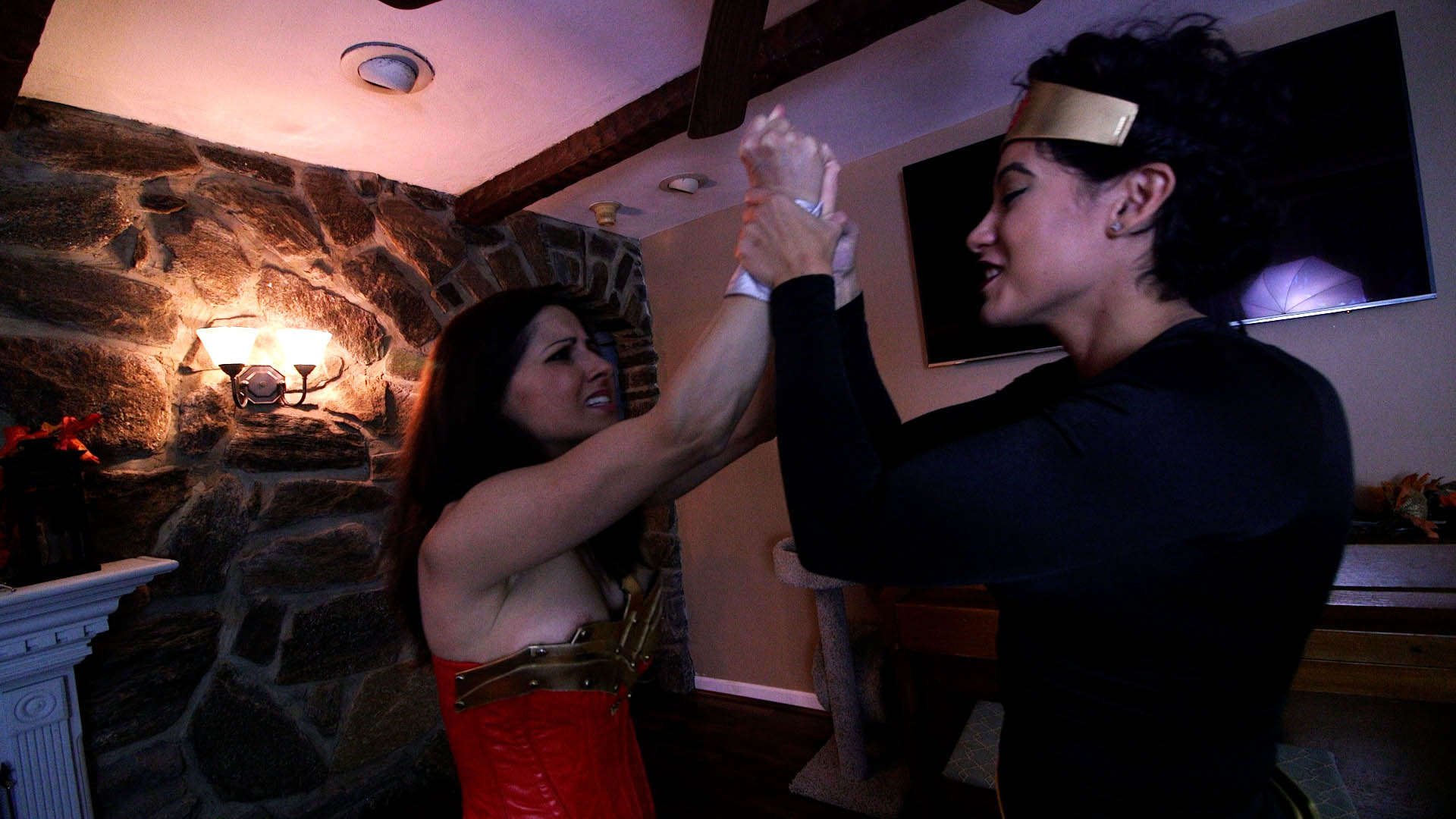 Cat Burglar on a Mission 4K - Image 7