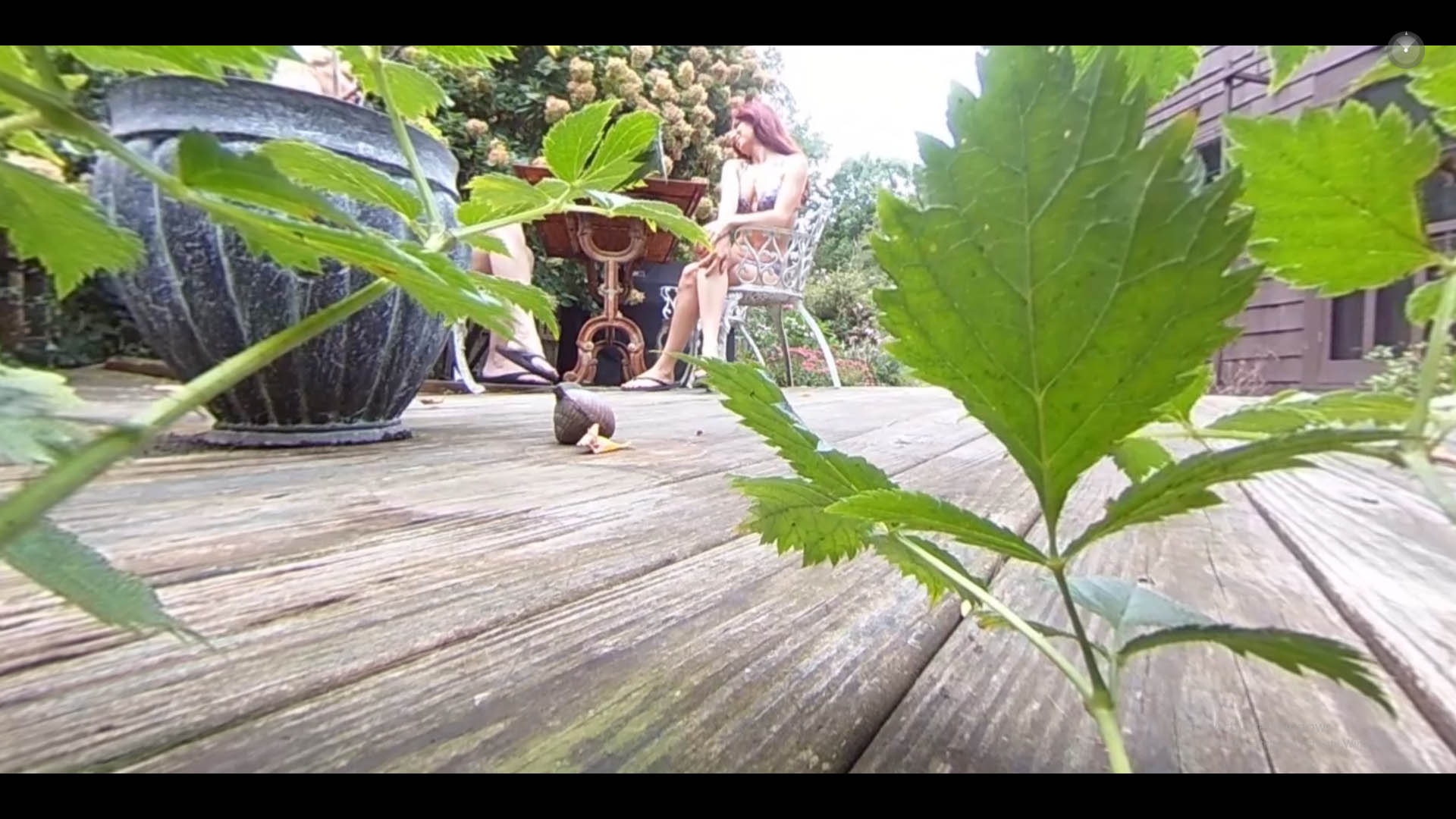 Far from the City VR 360 - Image 5