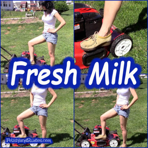 Fresh Milk