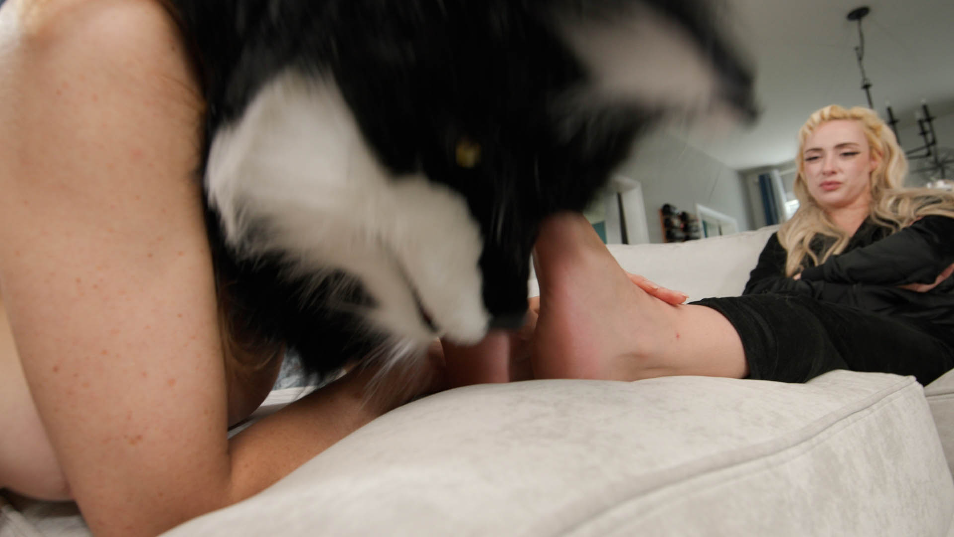 Trampling of the Feline Mutant 4K - Image 18