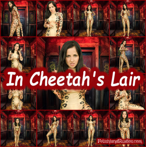 In Cheetah's Lair 4K