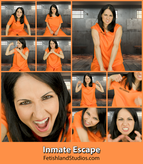 Inmate Escape 4K