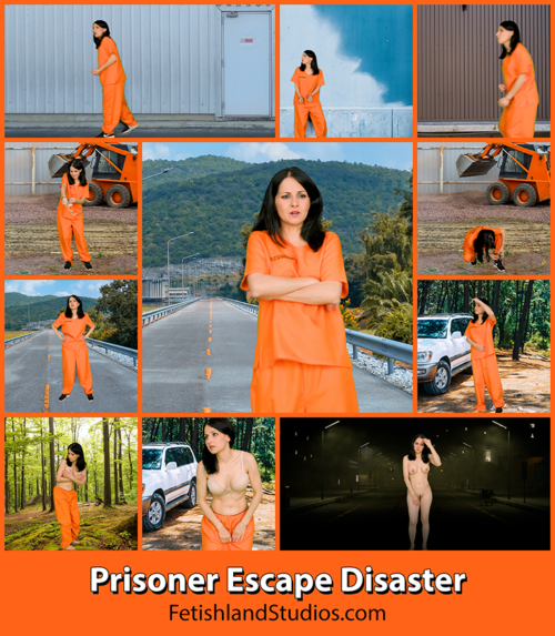 Prisoner Escape Disaster 4K